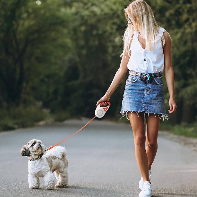 Laisse automatique pour chien Rojeco LED 5 m blanc et orange